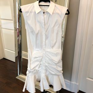 Veronica Beard Bell button down shirt dress